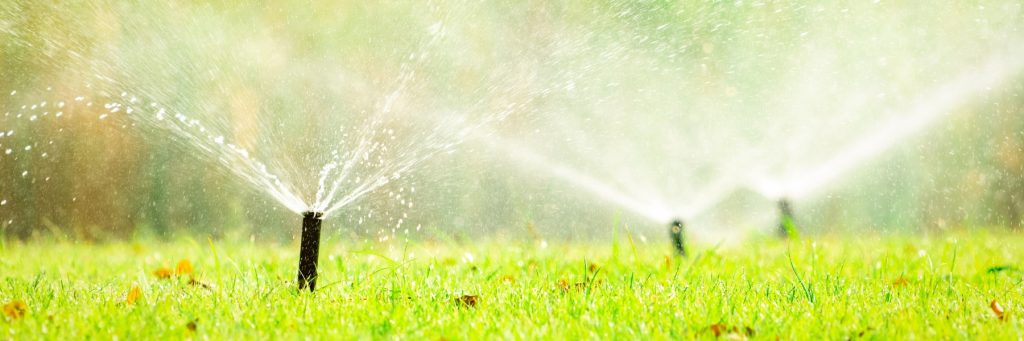 Lawn Sprinkler Contractor in Miami, FL