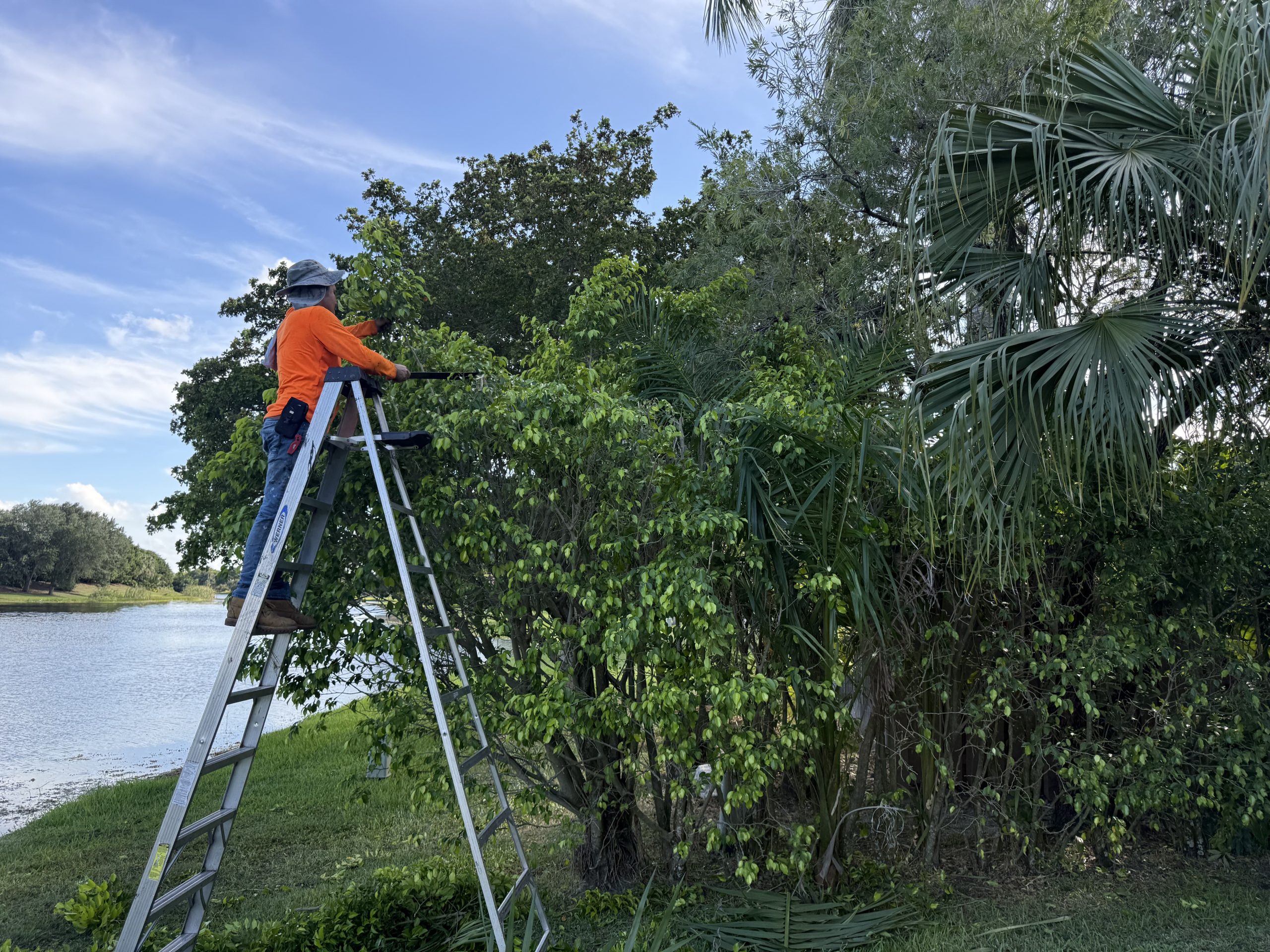 Completed irrigation and landscape work